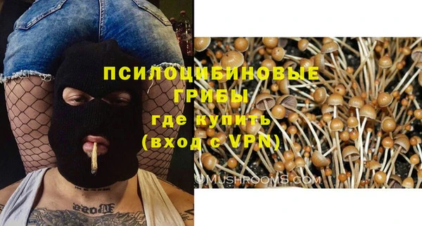 гашиш Коряжма