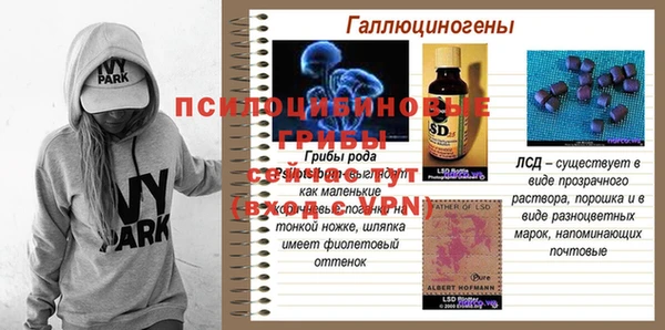 бошки Костерёво
