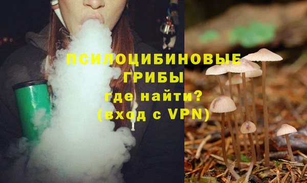 гашиш Коряжма