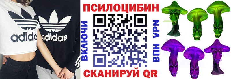 Псилоцибиновые грибы Cubensis  Можга 